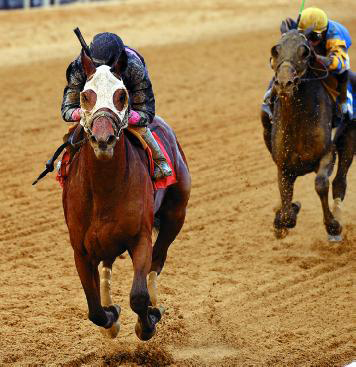 Winners Circle Horse – Kid Cruz