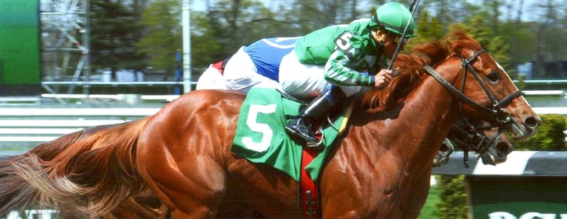 Marriedtothemusic Wins at Belmont Park on May 2, 2014