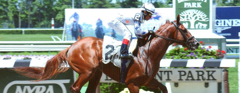 Bambisfrostyracer Wins at Belmont Park on June 15, 2014