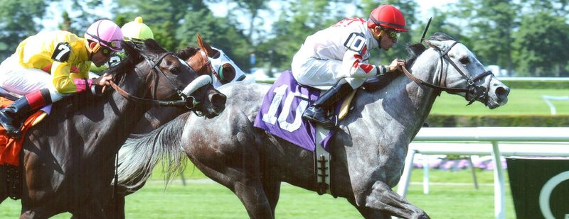 Double The Energy Wins at Belmont Park on June 15, 2014