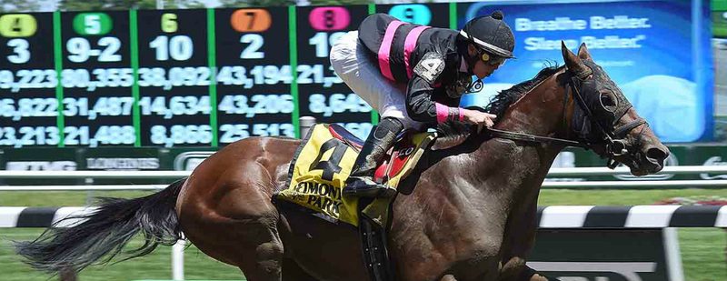 Kid Cruz Wins at Belmont Park on June 7, 2014