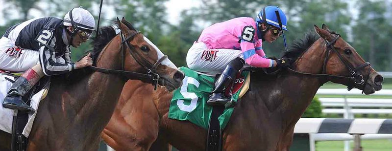La Verdad Wins at Belmont Park on May 31, 2014
