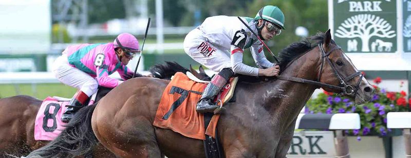 Palace Wins at Belmont Park on June 6, 2014