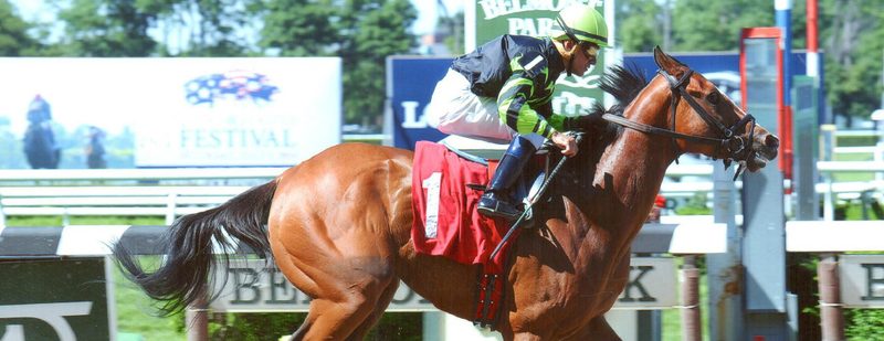 Your Move Wins at Belmont Park on June 15, 2014