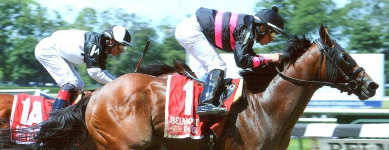 Kid Cruz Wins the Dwyer Stakes at Belmont Park on July 5, 2014