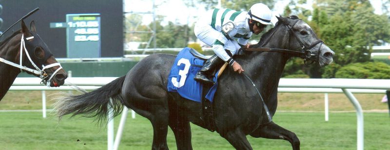 A P Johnson Wins at Belmont Park on September 20, 2014