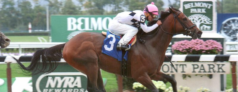 Celebrated Talent Wins at Belmont Park on October 4, 2014