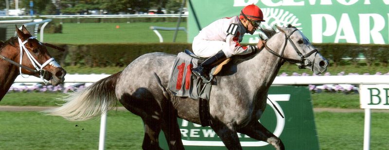 Double The Energy Wins at Belmont Park on October 17, 2014