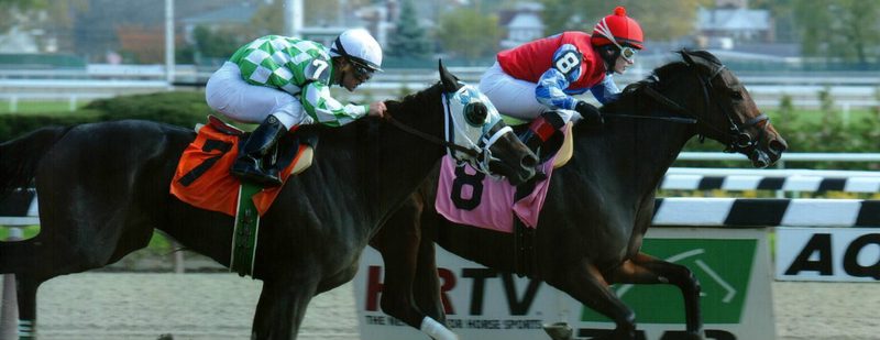 Betty Brown Nose Wins at Aqueduct on October 29, 2014