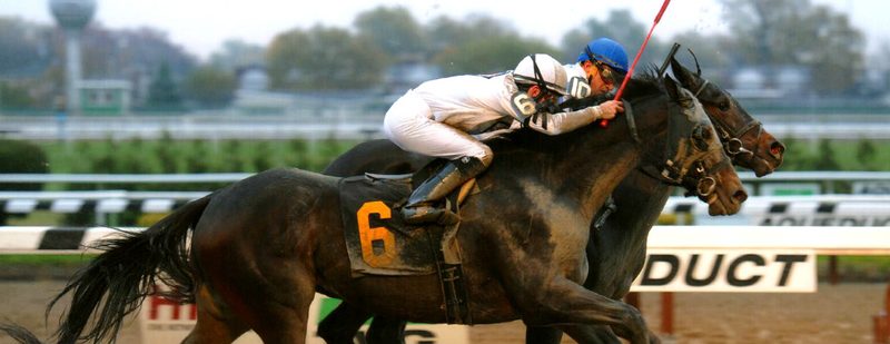 Oltre’ Oro Wins at Aqueduct on November 6, 2014