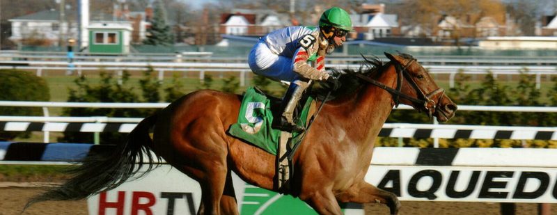 Bounty Pink Wins at Aqueduct on November 28, 2014