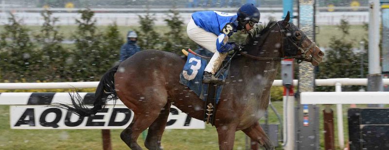 Joe Mooch Wins at Aqueduct on December 10, 2014