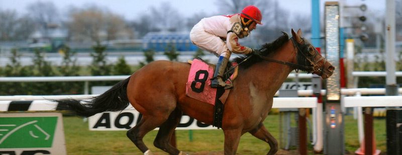 Mischievously Wins at Aqueduct on December 3, 2014