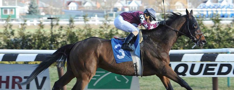 North Ocean Wins at Aqueduct on December 14, 2014