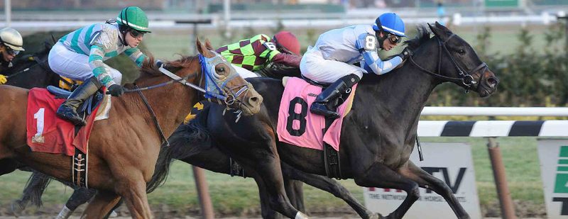 Oltre’ Oro Wins at Aqueduct on December 13, 2014
