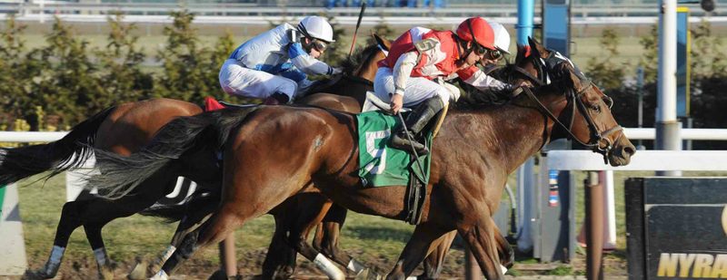 Zippity Zoom Wins at Aqueduct on December 27, 2014