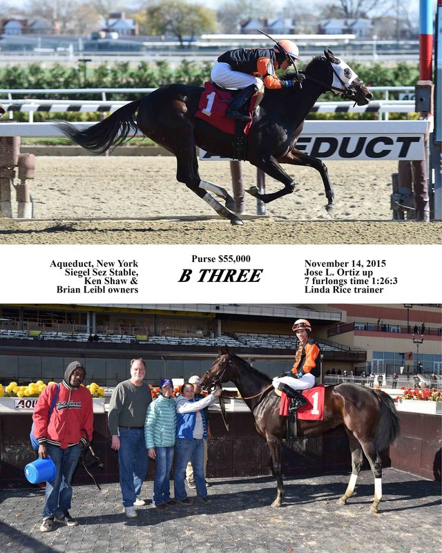 B Three — 11/14/15