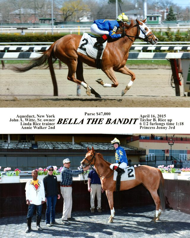 Bella The Bandit — 4/16/15