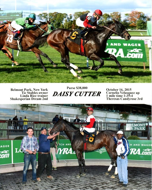 Daisy Cutter — 10/16/15