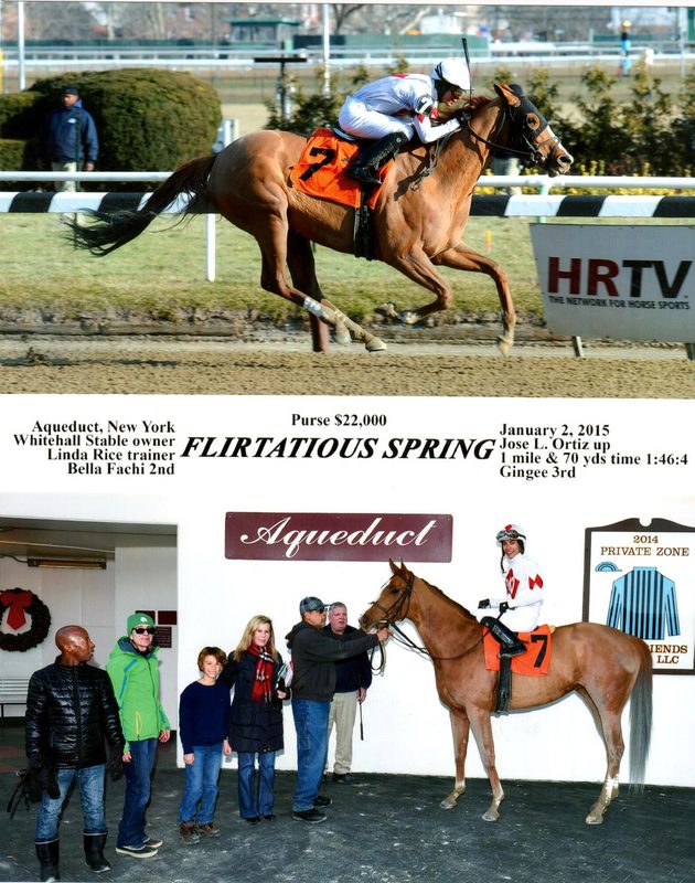 Flirtatious Spring — 1/2/15