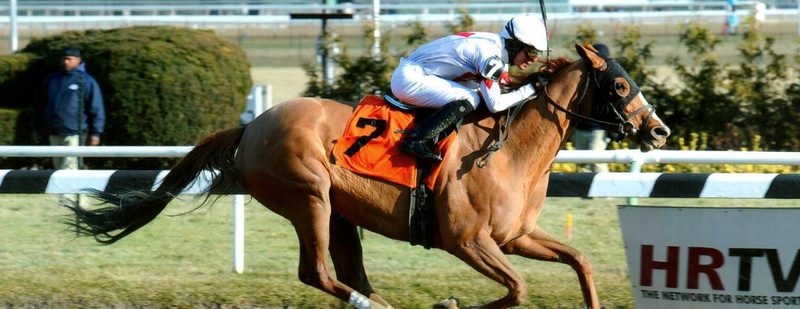 Flirtatious Spring Wins at Aqueduct on January 2, 2015