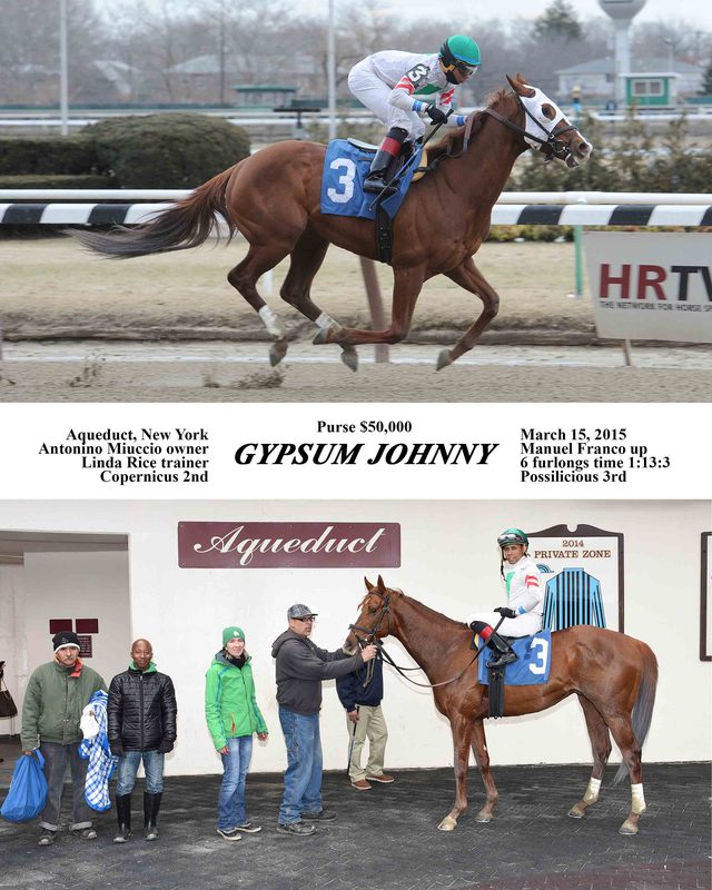 Gypsum Johnny — 3/15/15