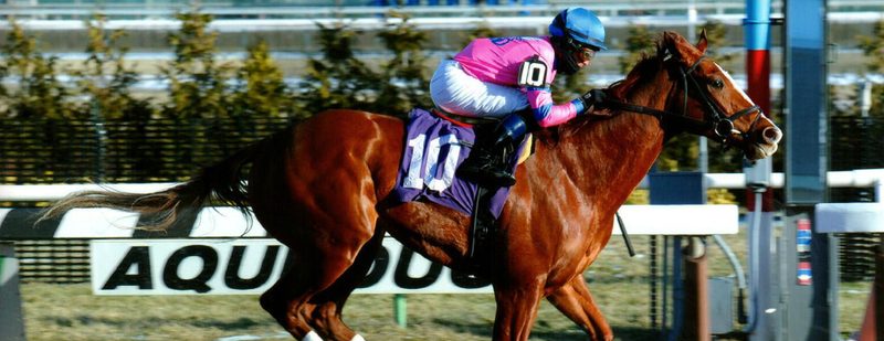 Hot City Girl Wins at Aqueduct on January 11, 2015