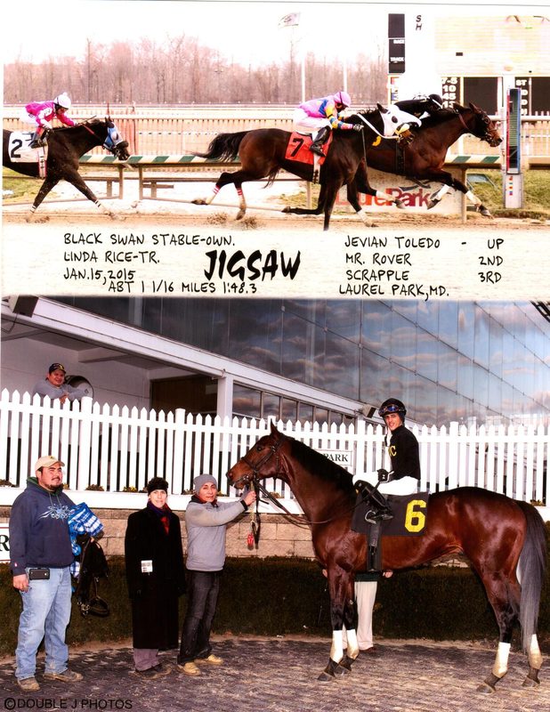 Jigsaw — 1/15/15