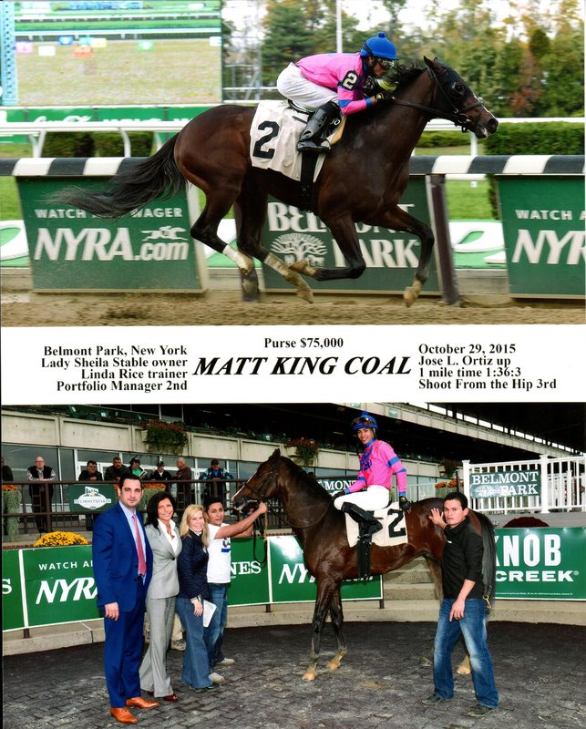 Matt King Coal — 10/29/15