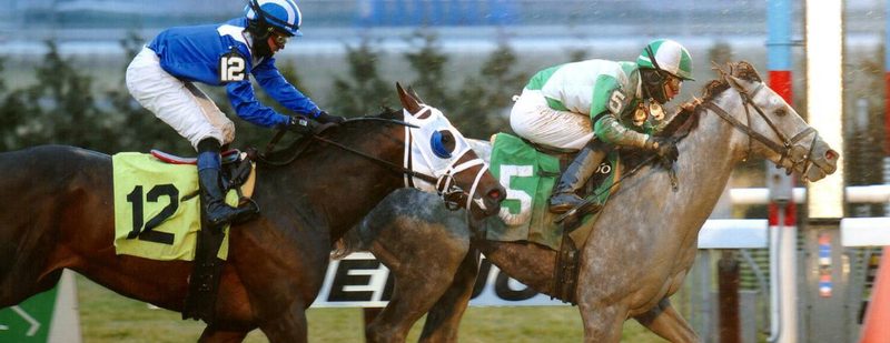 On Tap Wins at Aqueduct on January 3, 2015