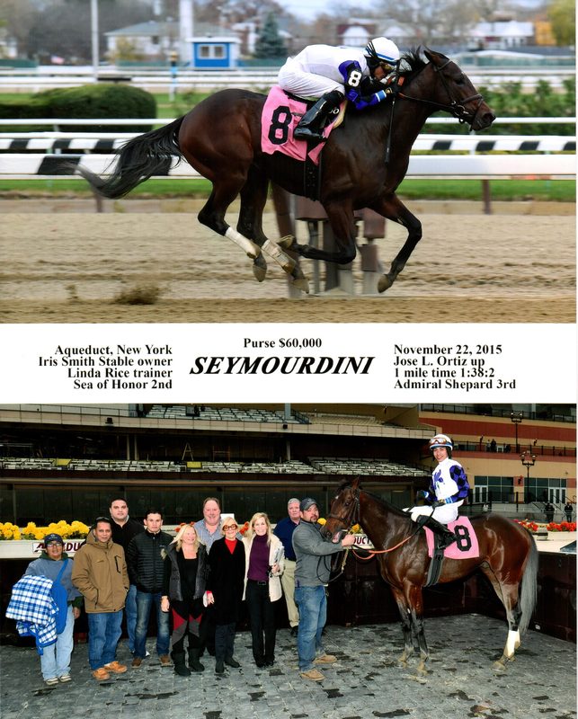 Seymourdini — 11/22/15