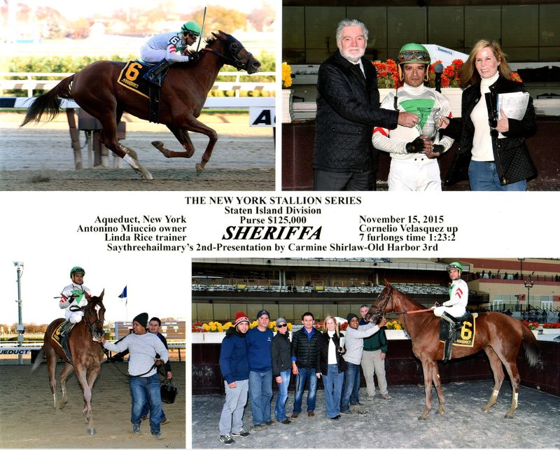 Sheriffa — 11/15/15