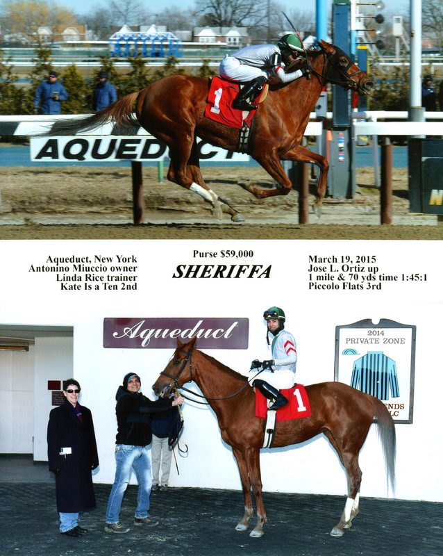 Sheriffa — 3/19/151