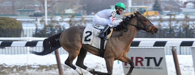 Flag on the Play Wins at Aqueduct on January 30, 2015