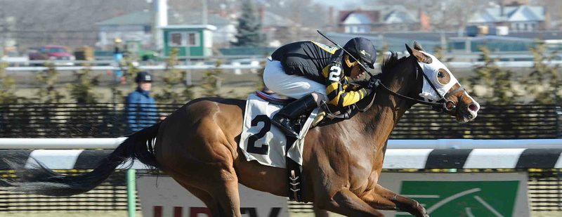 Jackie Black Wins at Aqueduct on January 23, 2015