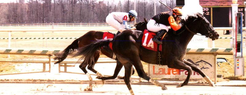 Little Love Wins at Laurel Park on March 15, 2015