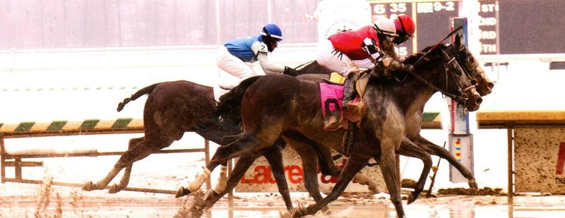 Medaglia D’Argento Wins at Laurel Park on March 20, 2015