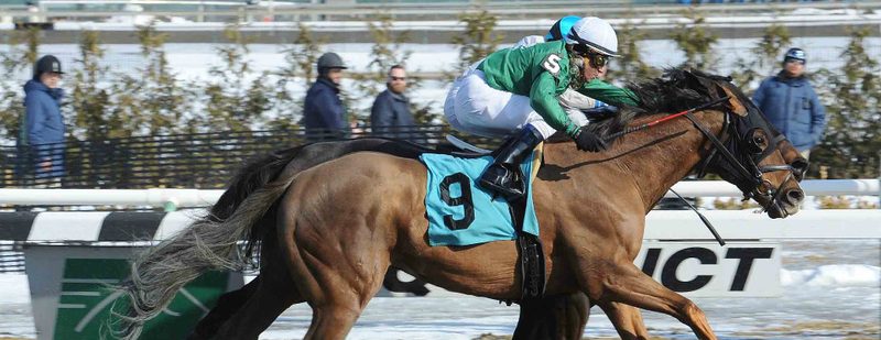 Pretension Wins at Aqueduct on March 8, 2015