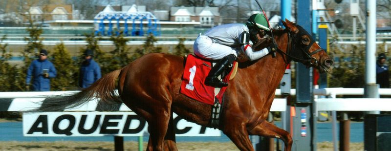 Sheriffa Wins at Aqueduct on March 19, 2015