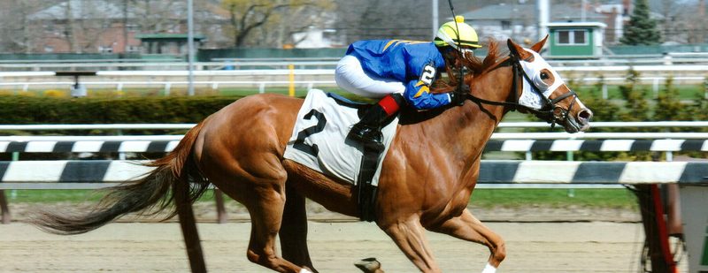 Bella The Bandit Wins at Aqueduct on April 16, 2015