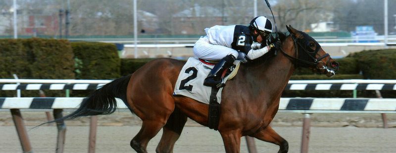 Captain Serious Wins at Aqueduct on April 2, 2015