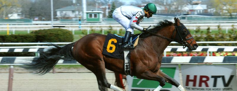 Point Hope Wins at Aqueduct on April 16, 2015