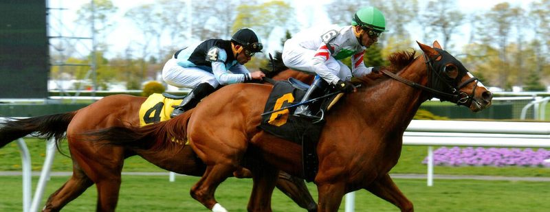 Bigger Picture Wins at Belmont Park on April 30, 2015