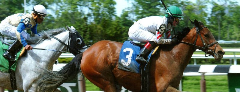 Bounty Pink Wins at Belmont Park on May 20, 2015