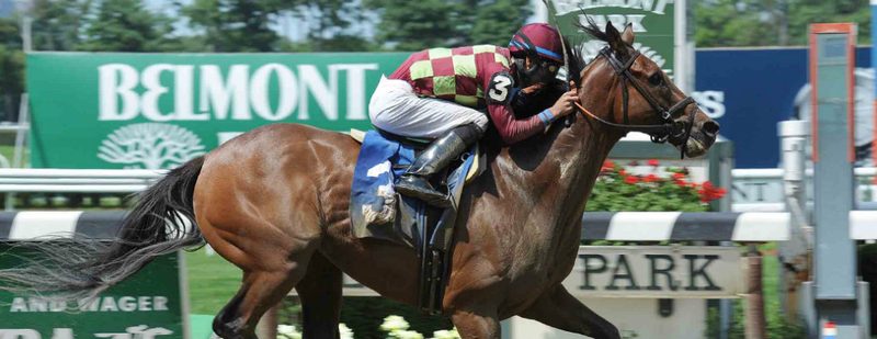 Bigger Picture Wins at Belmont Park on July 4, 2015