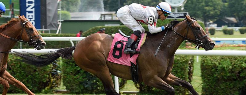 Adirondack Dancer Wins at Belmont Park on August 15, 2015