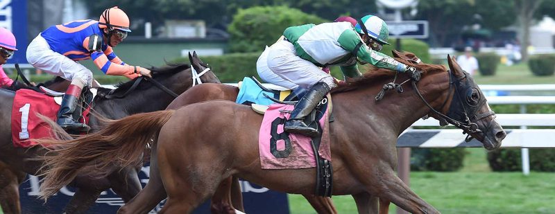 Backwood Bay Wins at Belmont Park on August 15, 2015