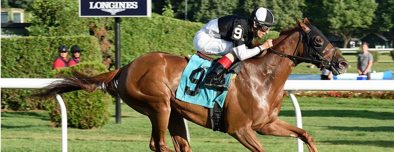 Egyptian Magic Wins at Belmont Park on August 12, 2015
