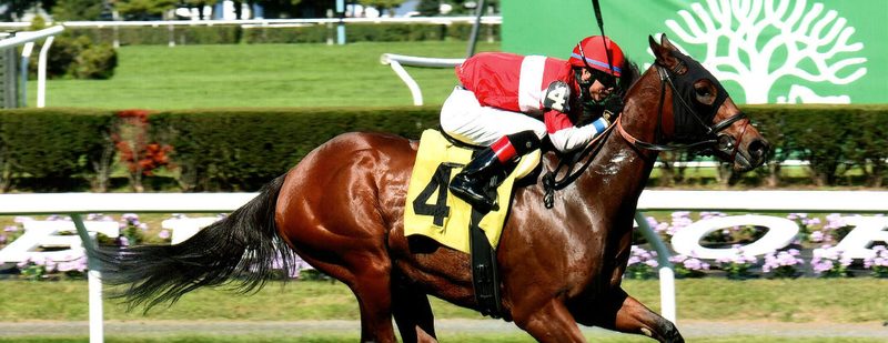 Splendid Gold Wins at Belmont Park on October 7, 2015