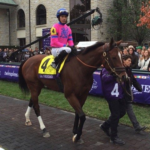 Wavell Avenue Charges to Victory in Filly & Mare Sprint